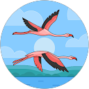 Pascale profile picture